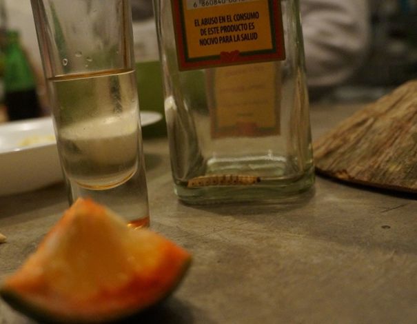 Meksykański mezcal z robalem - Wczasy Meksyk